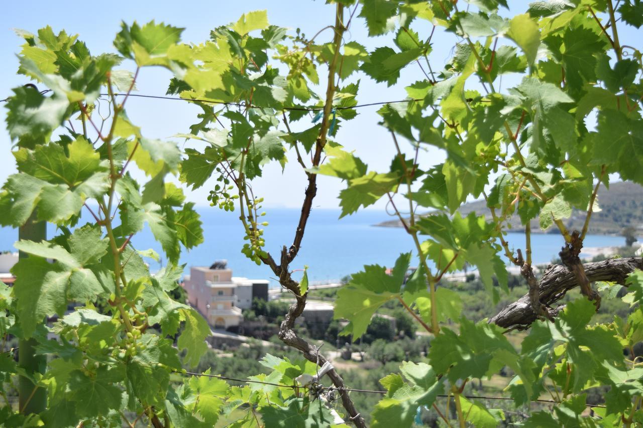 Belvedere Adriatica Qeparo Bagian luar foto